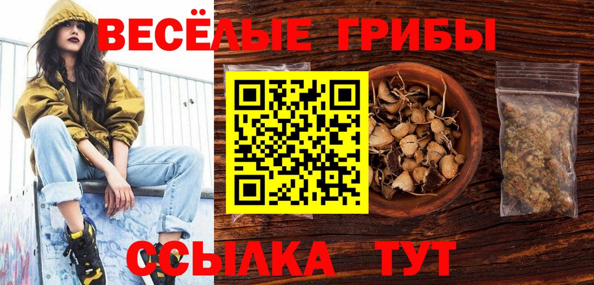 Галлюциногенные грибы мицелий  Вход с VPN  Менделеевск  Псилоцибиновые грибы мухоморы 