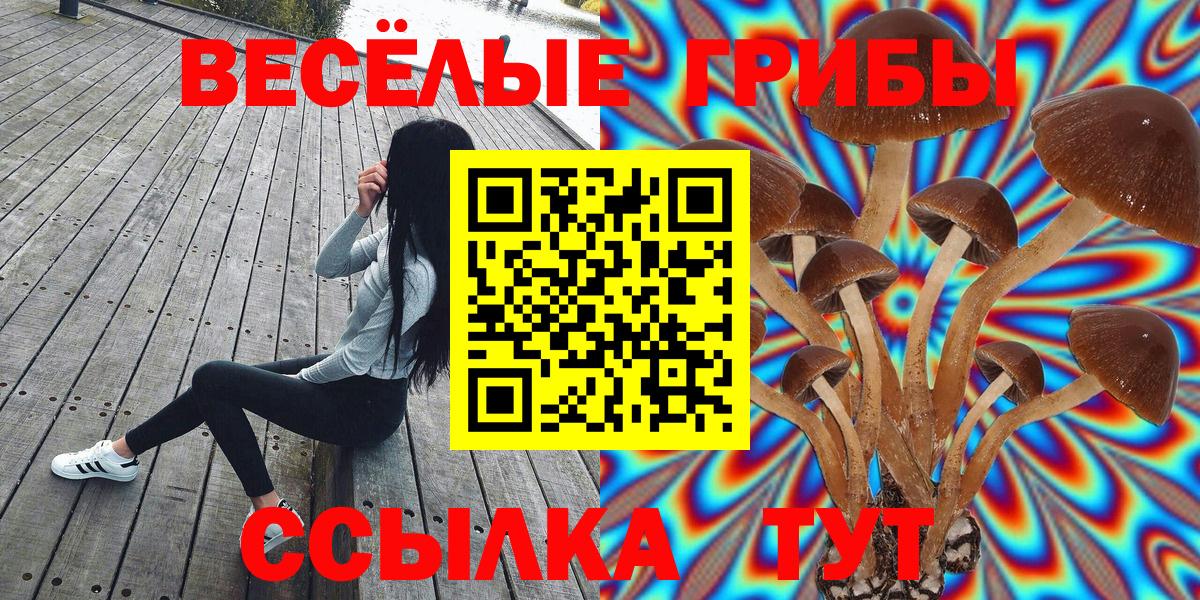 Галлюциногенные грибы Magic Shrooms Менделеевск